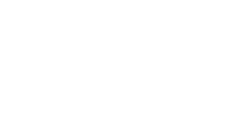 logo-vsc2